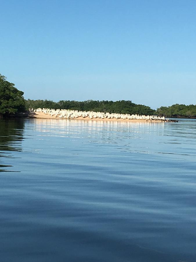 Captain's Table By Adventures 3* Everglades